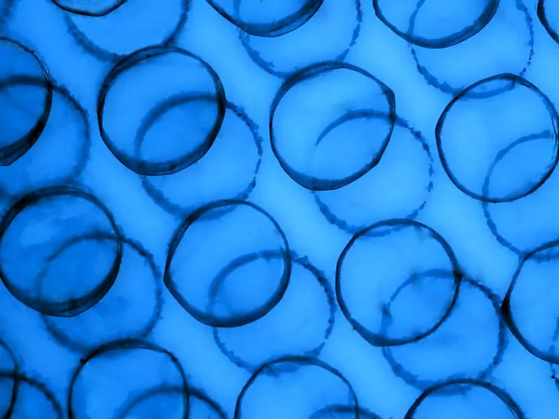 Plastic bubble roll — Protective film
